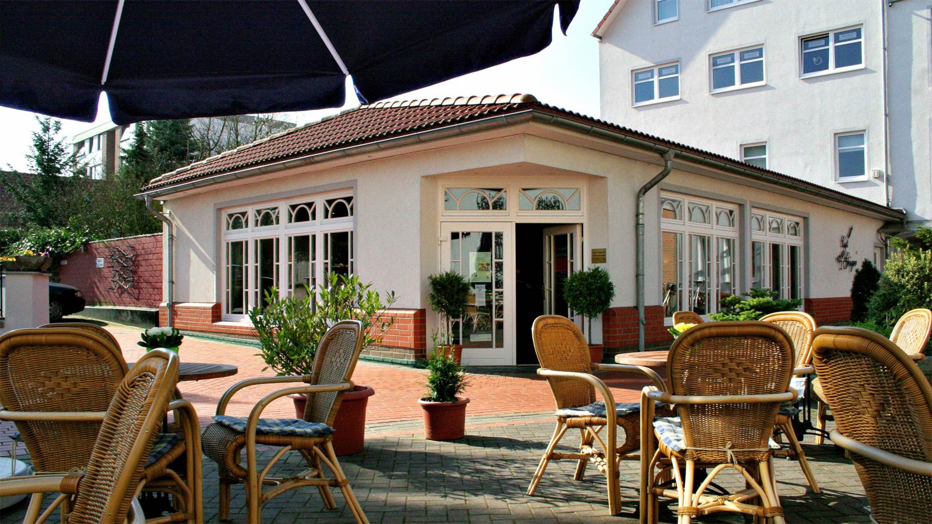 Ein helles Café mit vielen Fenstern, umgeben von Korbstühlen und Pflanzen im Freien